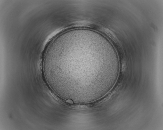 X0000113301164200910051036