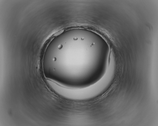 X0000113301165200910051036