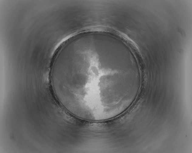 X0000113301166200910051036