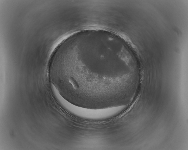 X0000113301167200910051036