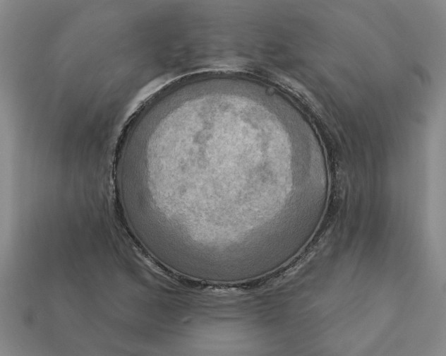 X0000113301168200910051036