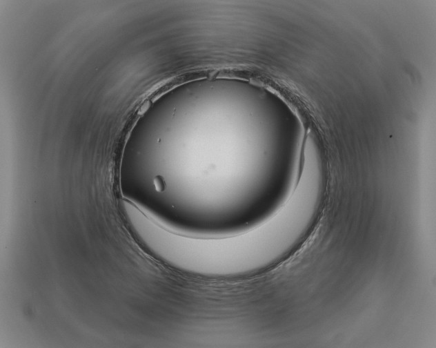 X0000113301169200910051036