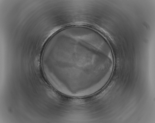 X0000113301170200910051036