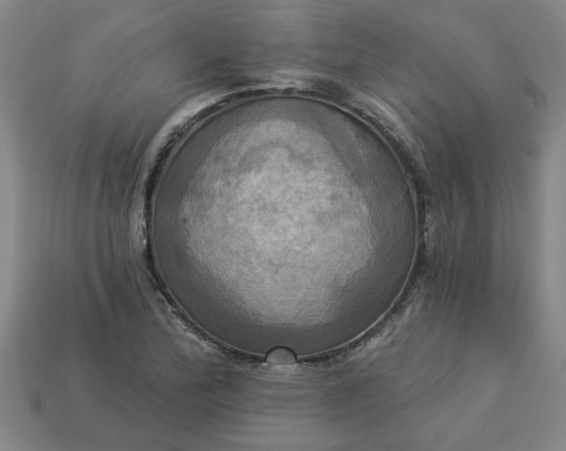 X0000113301172200910051036