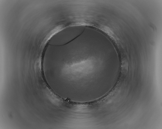 X0000113301173200910051036