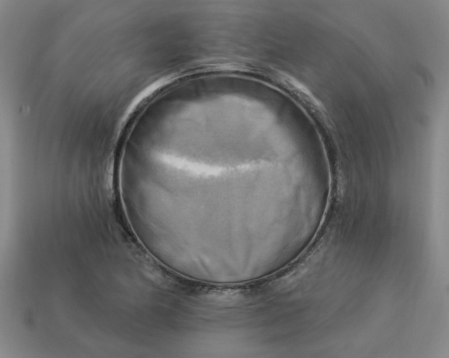 X0000113301174200910051036