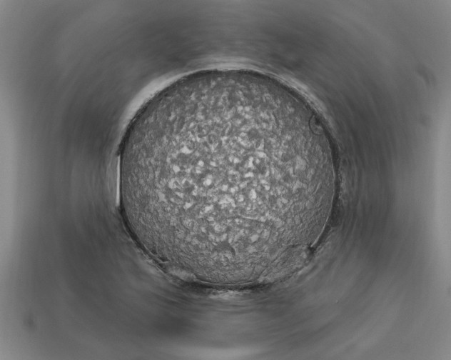 X0000113301175200910051036