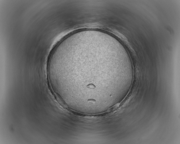 X0000113301176200910051036