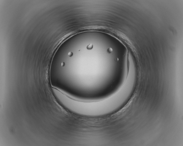 X0000113301177200910051036