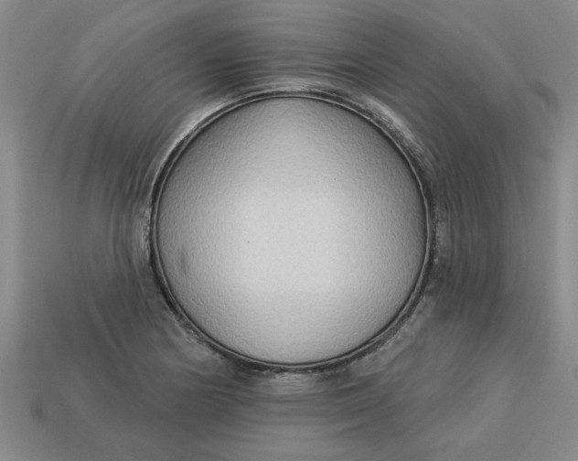 X0000113301178200910051036