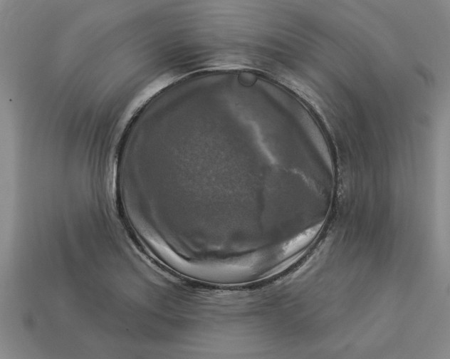 X0000113301179200910051036