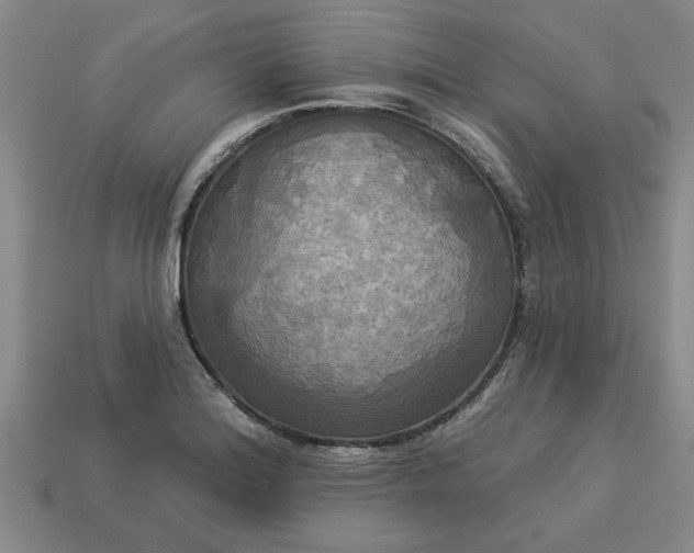 X0000113301180200910051036