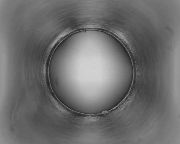 X0000113301181200910051036