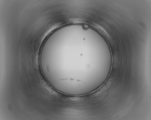 X0000113301182200910051036