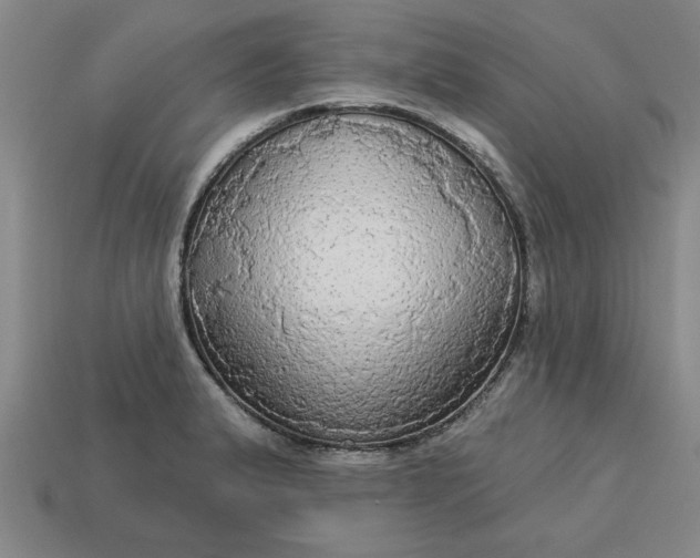 X0000113301183200910051036