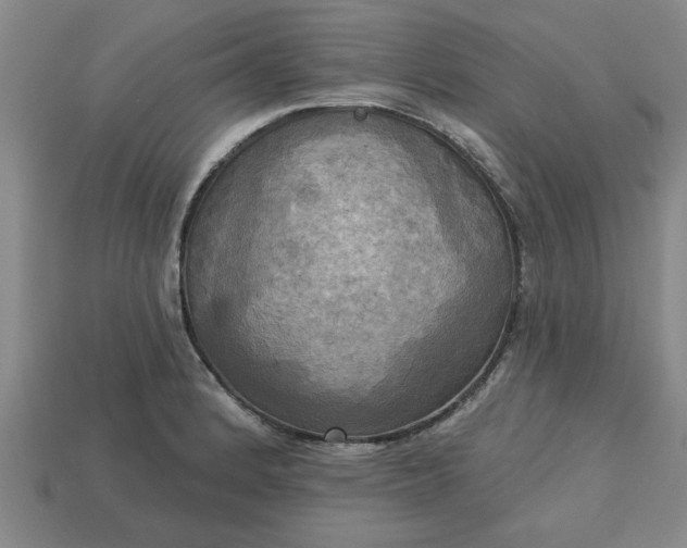 X0000113301184200910051036