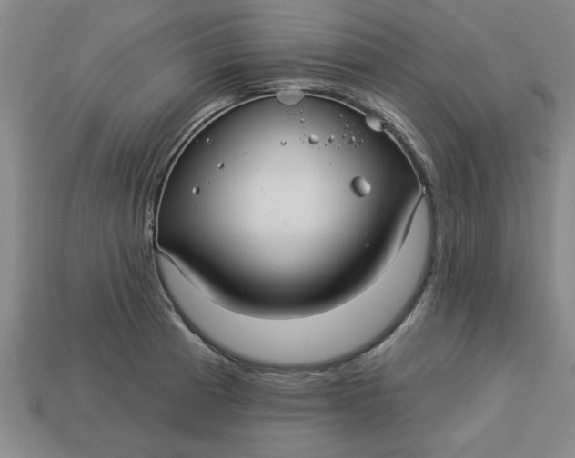 X0000113301185200910051036