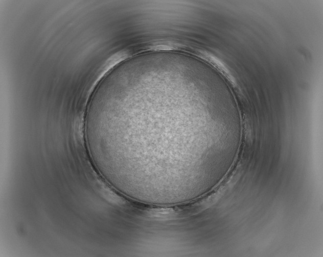 X0000113301186200910051036