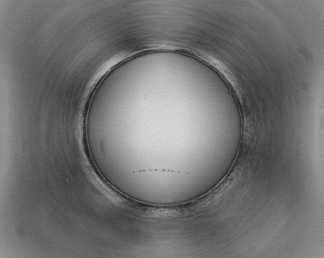 X0000113301187200910051036