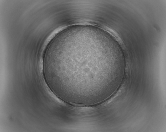 X0000113301188200910051036