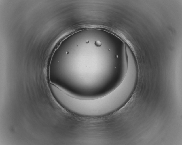 X0000113301189200910051036