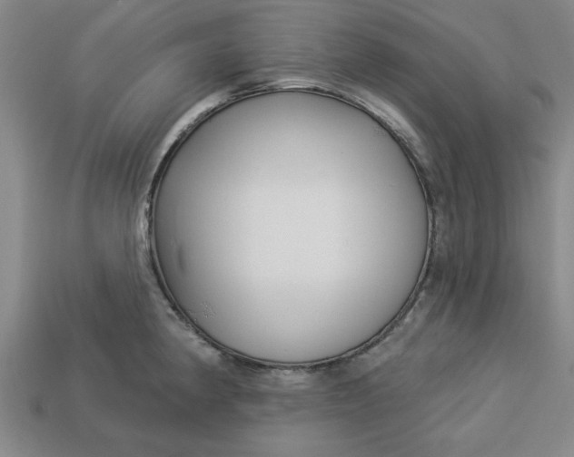 X0000113301190200910051036