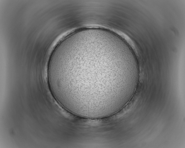 X0000113301191200910051036