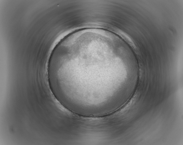 X0000113301192200910051036