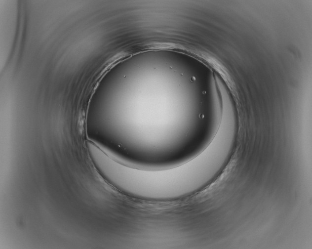 X0000113301193200910051036