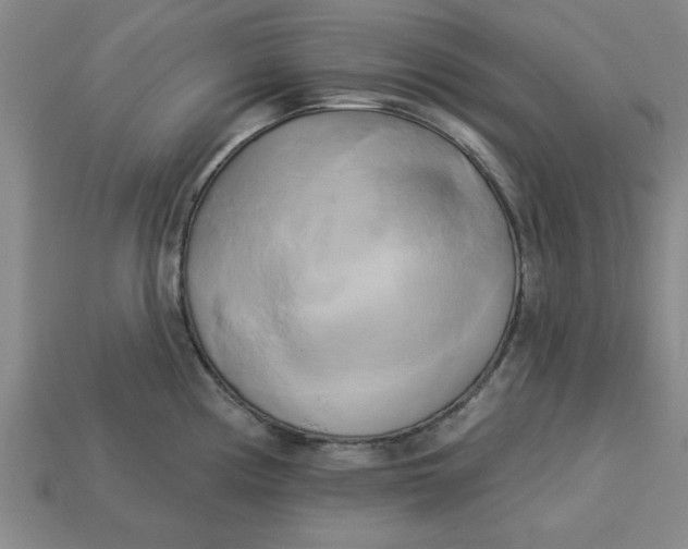 X0000113301194200910051036