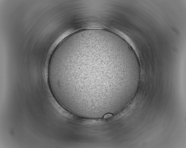 X0000113301195200910051036