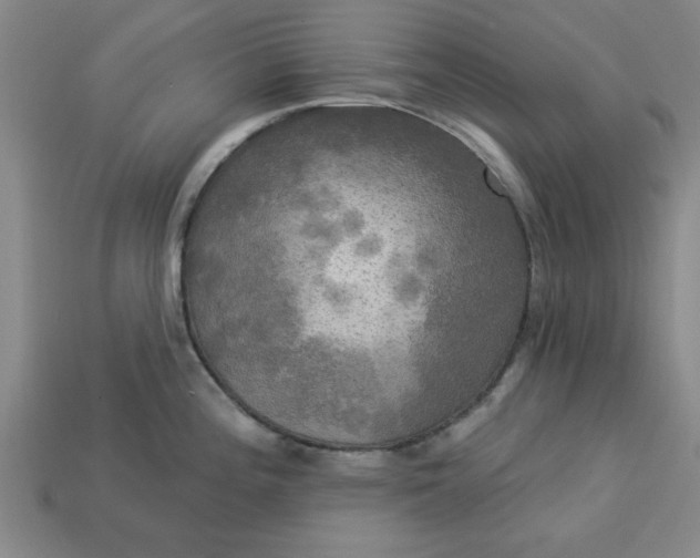 X0000113301196200910051036