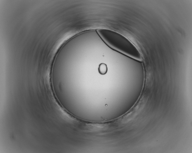 X0000113301197200910051036