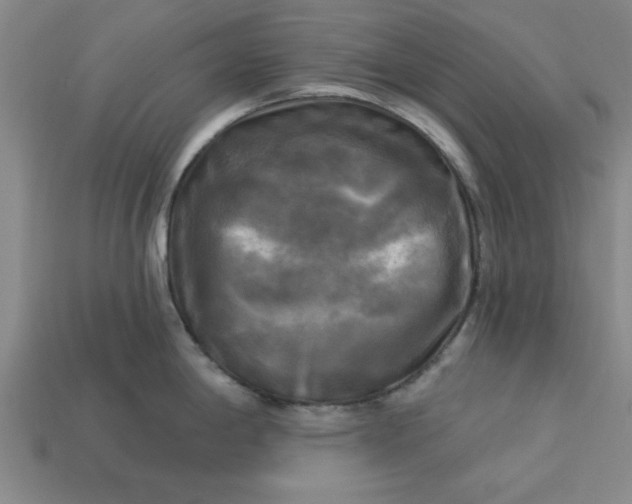 X0000113301198200910051036