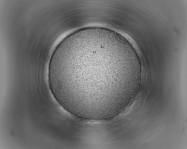 X0000113301199200910051036