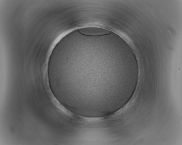 X0000113301200200910051036