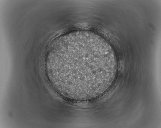 X0000113301201200910051035