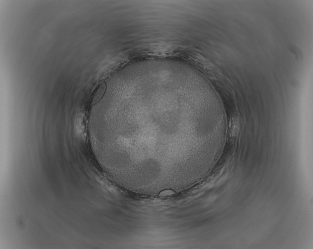 X0000113301202200910051035