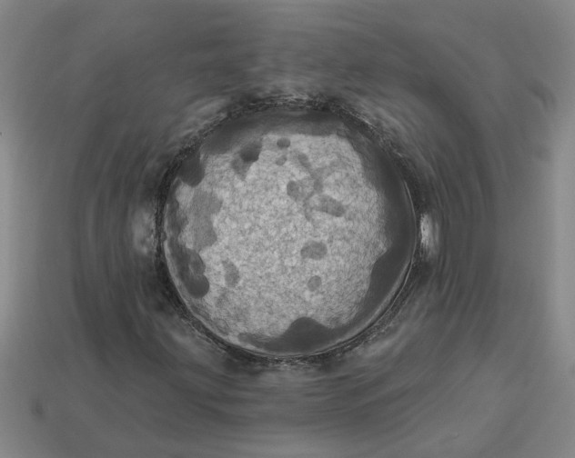 X0000113301203200910051035