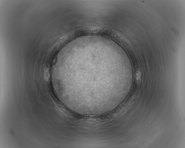 X0000113301204200910051035