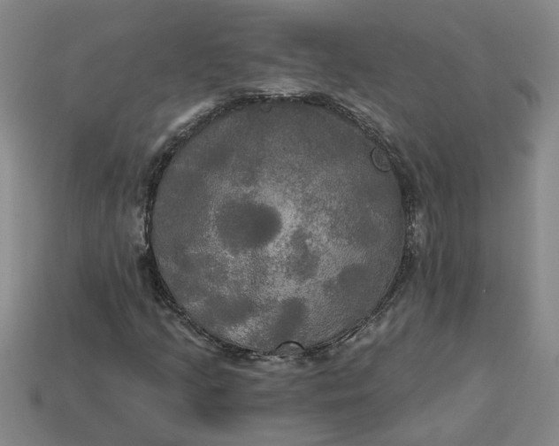 X0000113301205200910051035