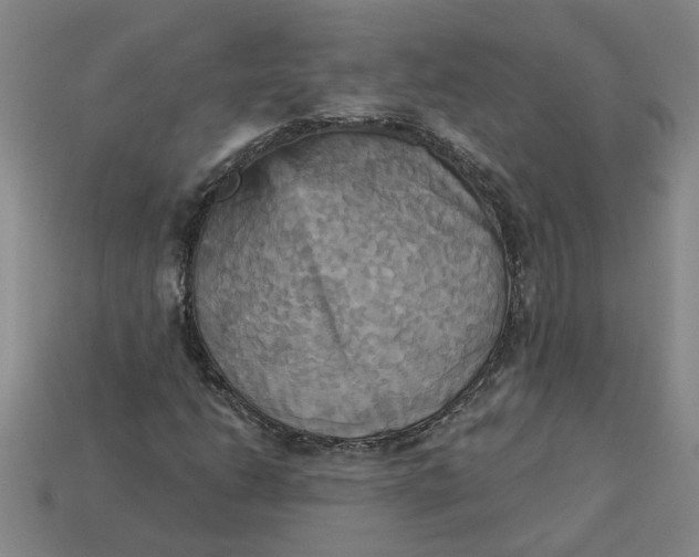 X0000113301206200910051035