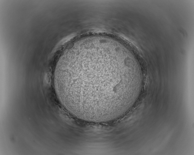 X0000113301207200910051035