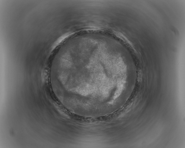 X0000113301208200910051035