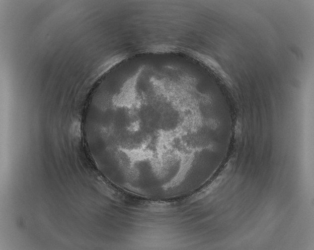 X0000113301209200910051035