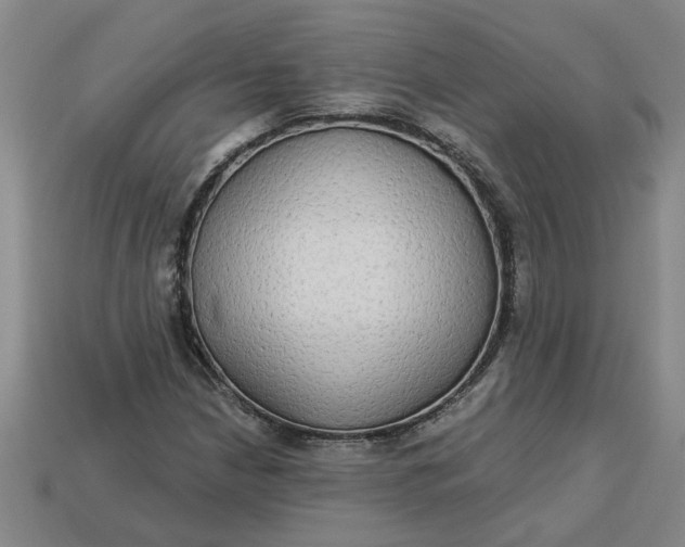 X0000113301210200910051035