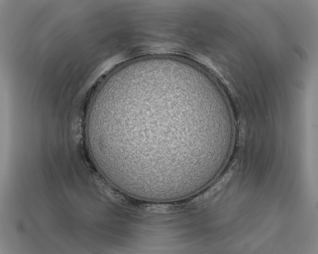 X0000113301211200910051035