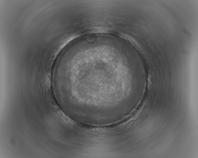 X0000113301212200910051035