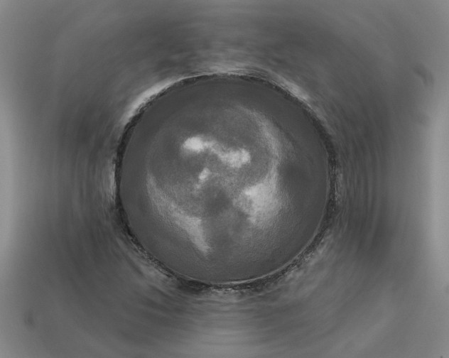 X0000113301214200910051035