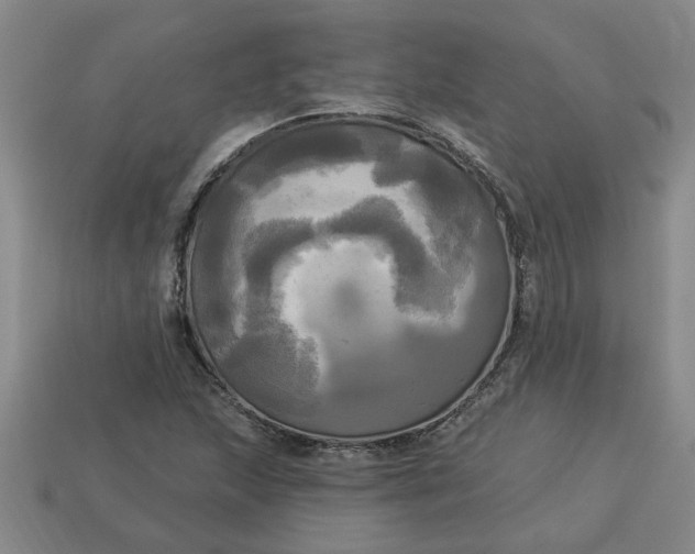 X0000113301215200910051035